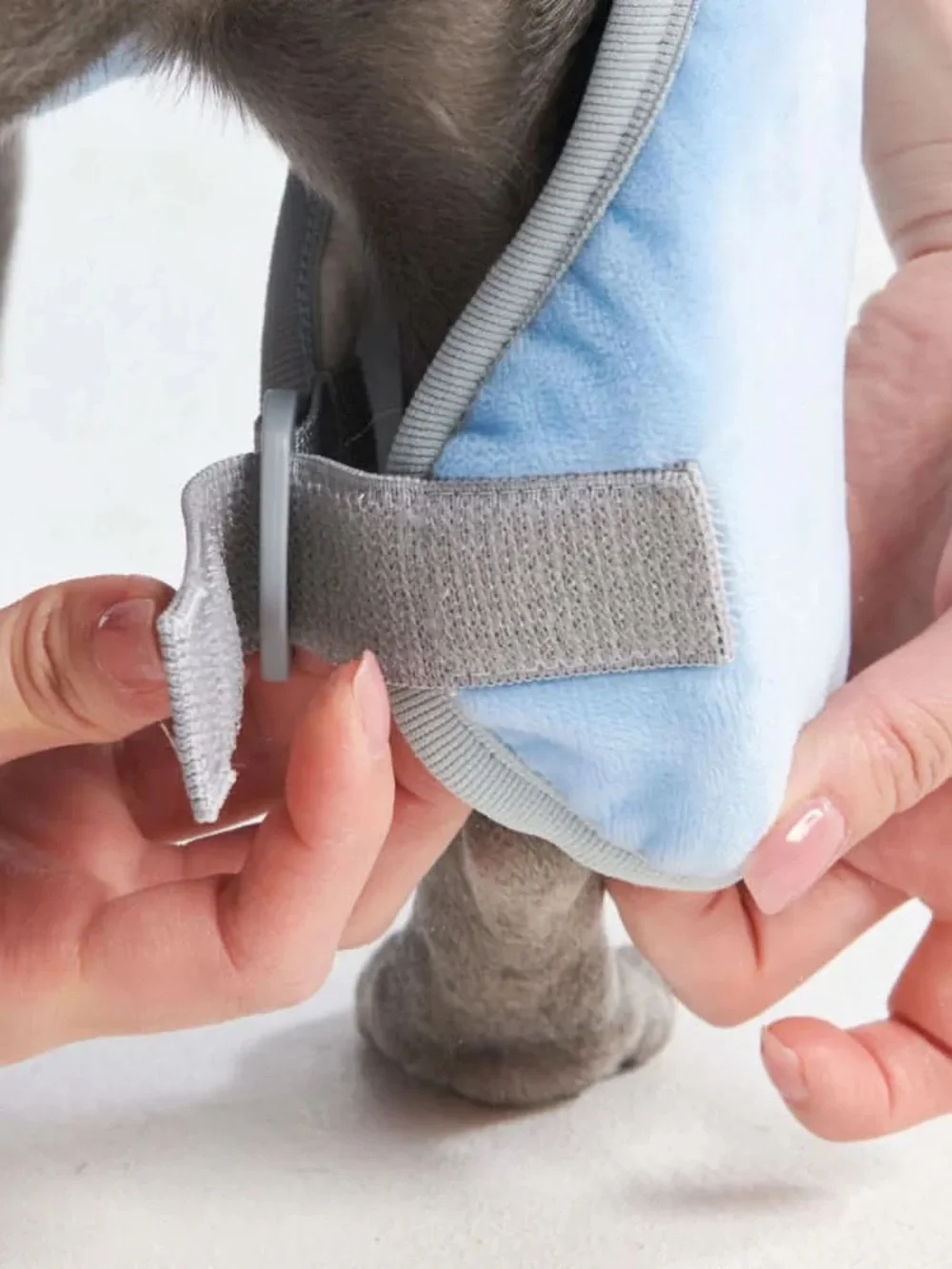 BRAND NEW ✨SPARK PAWS✨ 10 Minute Dry Dog Bathrobe
